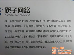 朔州企業(yè)網(wǎng)絡(luò)營銷新引擎 筷子網(wǎng)絡(luò)與專業(yè)策劃師的協(xié)同之道