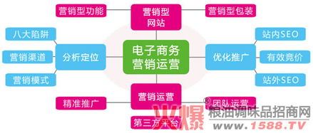 電子商務營銷整合傳播策略與網絡營銷策劃