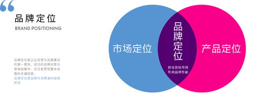 清美未來 品牌全案塑造者，從VI設計到網絡營銷的一站式品牌管家