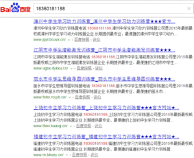 構建數字化時代的企業品牌護城河 從網絡營銷到品牌策劃的整合推廣方案