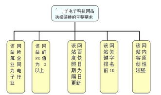 網絡品牌推廣與營銷策劃全案 從策略到執行